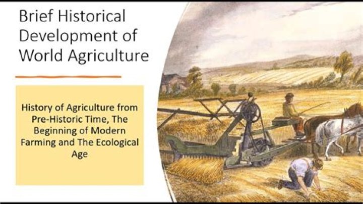 Was agriculture an development?