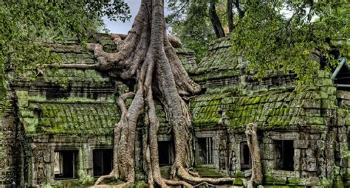 Was angkor wat abandoned?