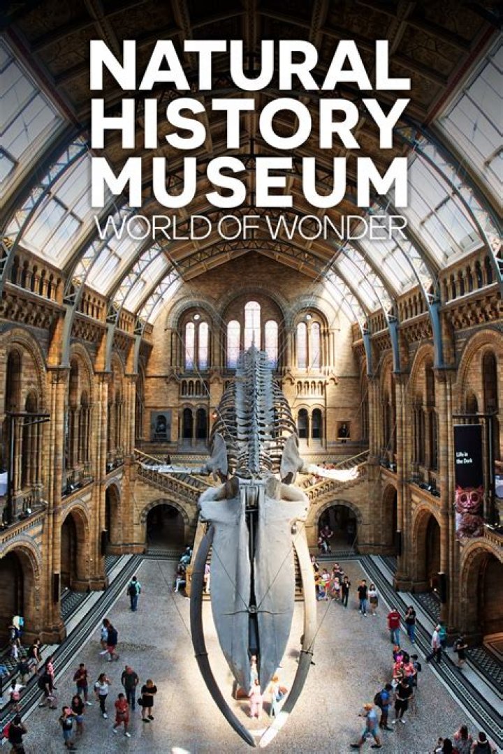 Was developed by natural history museum london?