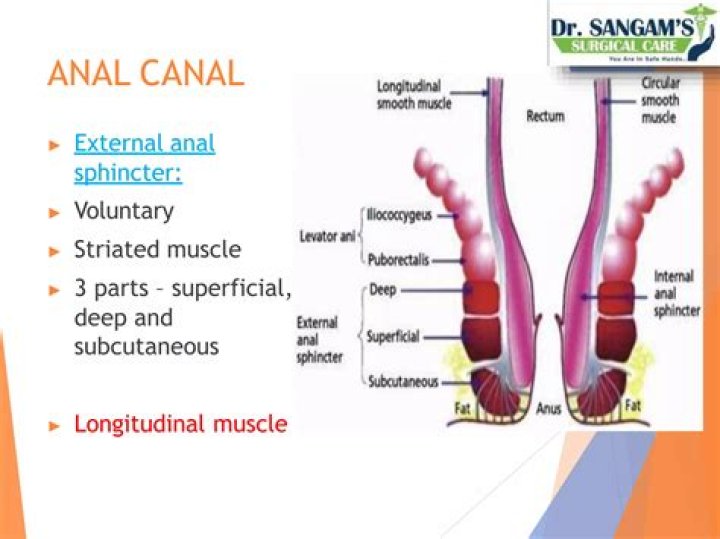 Was does anorectal mean?