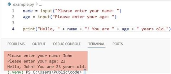 Was does input mean?