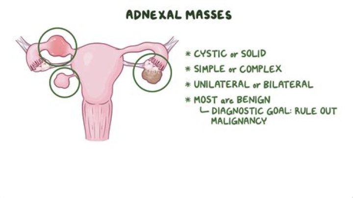 Was does malignancy mean?