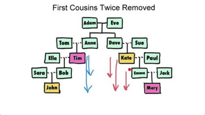 Was does twice removed mean?