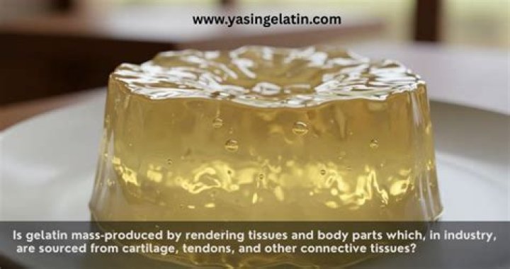 Was is gelatin made of?