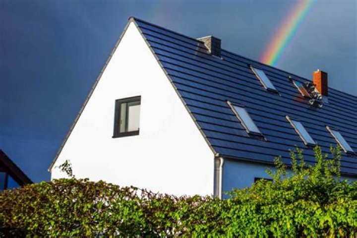 Was ist ein pollywog?