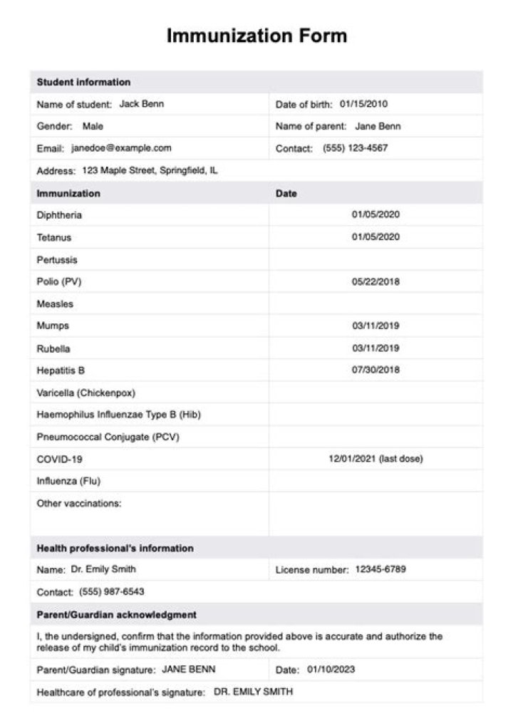 Was ist immunization record?