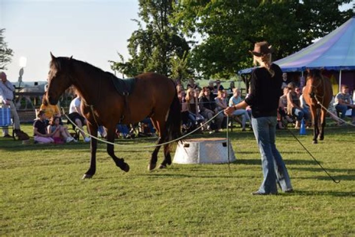 Was ist natural horsemanship?