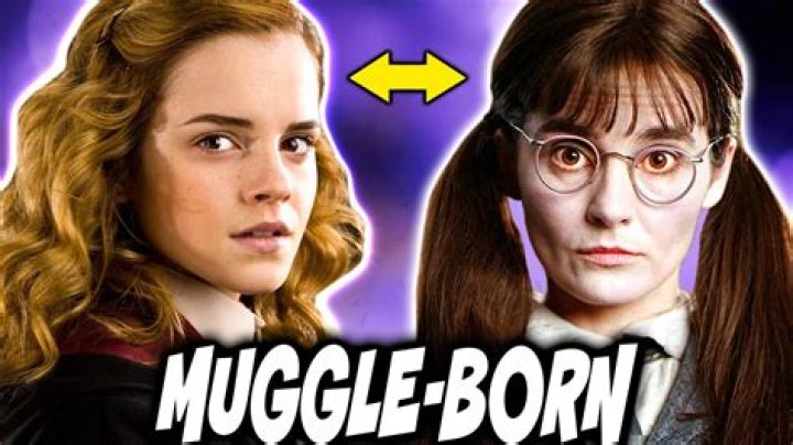 Was lily potter a muggle or witch?