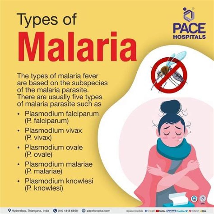 Was malaria ever in the us?