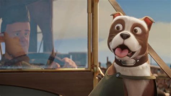 Was sergeant stubby stuffed?
