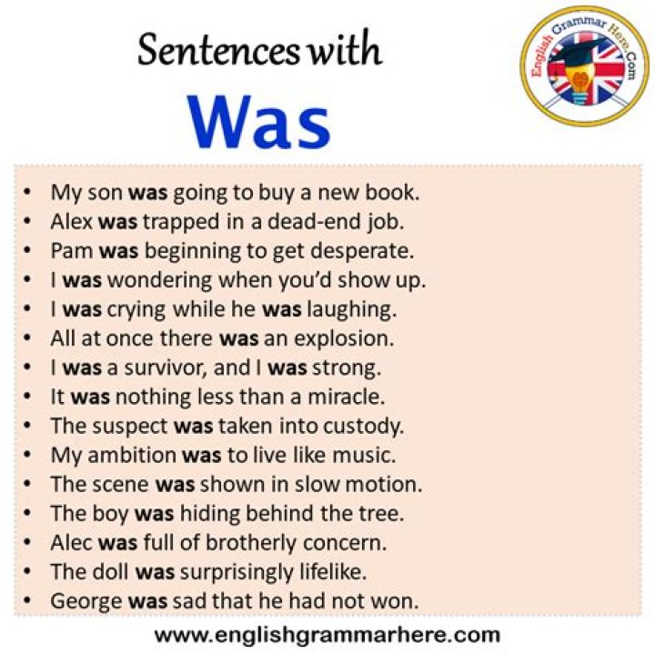 Was stung in a sentence?