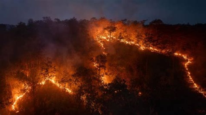 Was the amazon on fire?