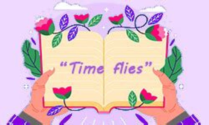 Was time flies meaning?