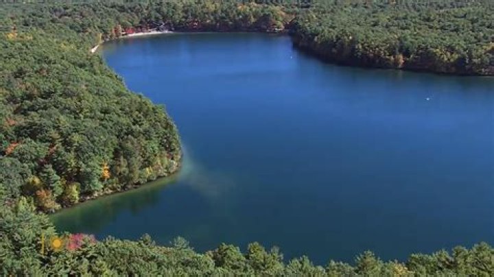 Was walden pond on his mother's property?