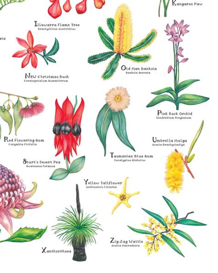 Were aboriginal flora and fauna?