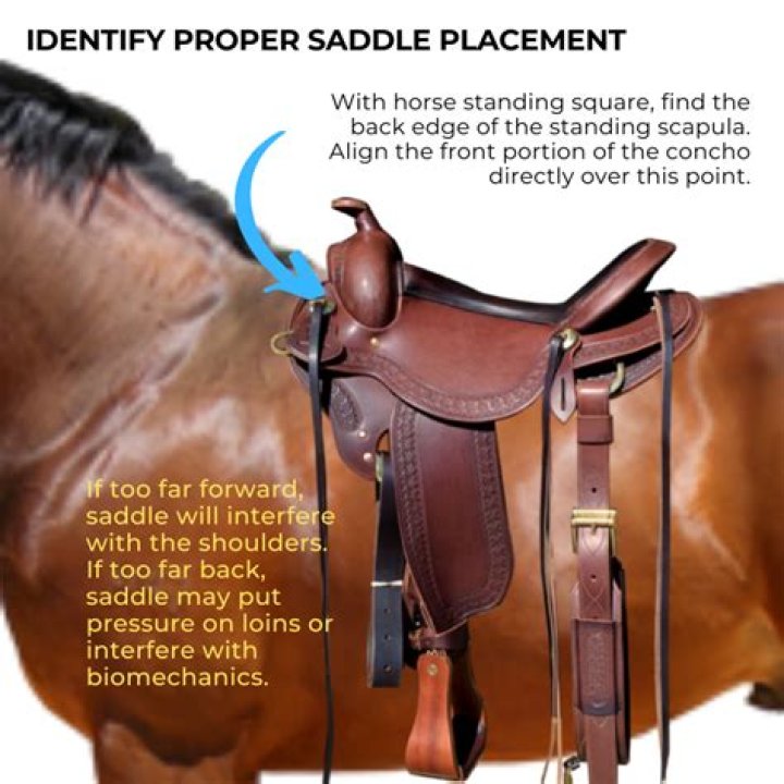 Were in the saddle meaning?