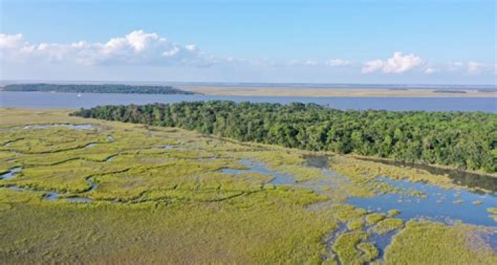 Were is pine island?