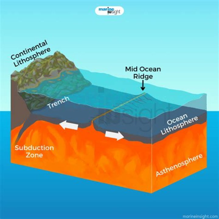 Were mid-ocean ridges discovered?