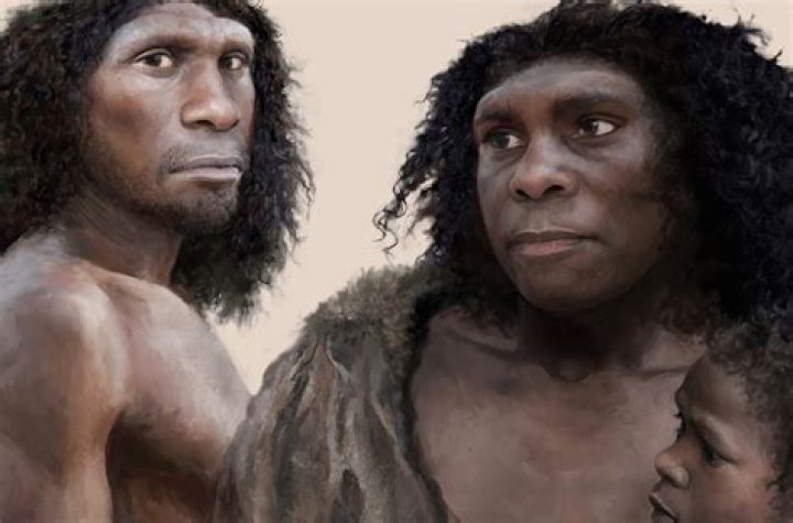 Were neanderthals taller than humans?