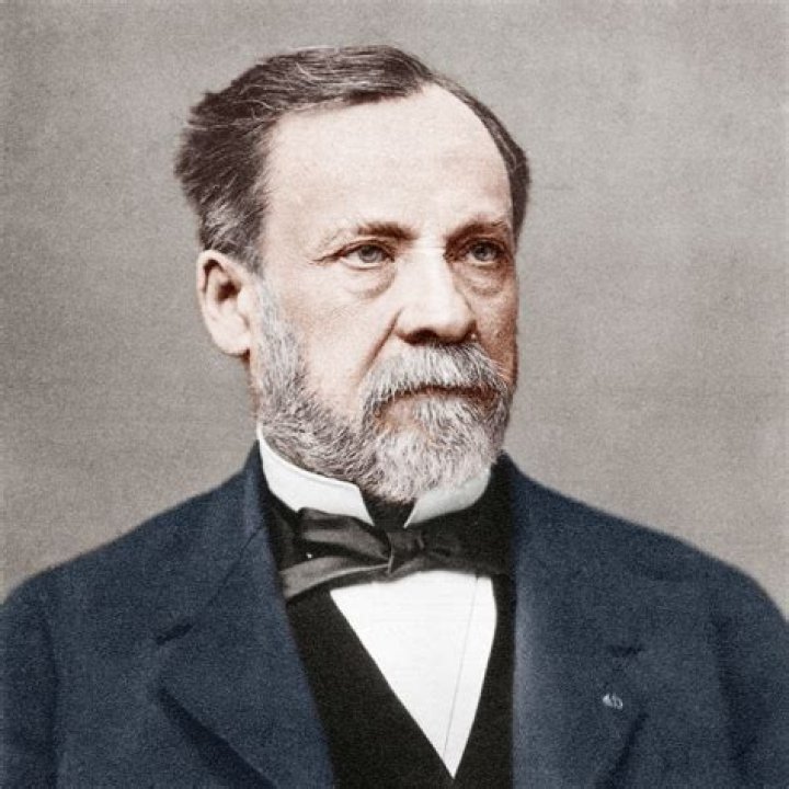 Were was louis pasteur born?