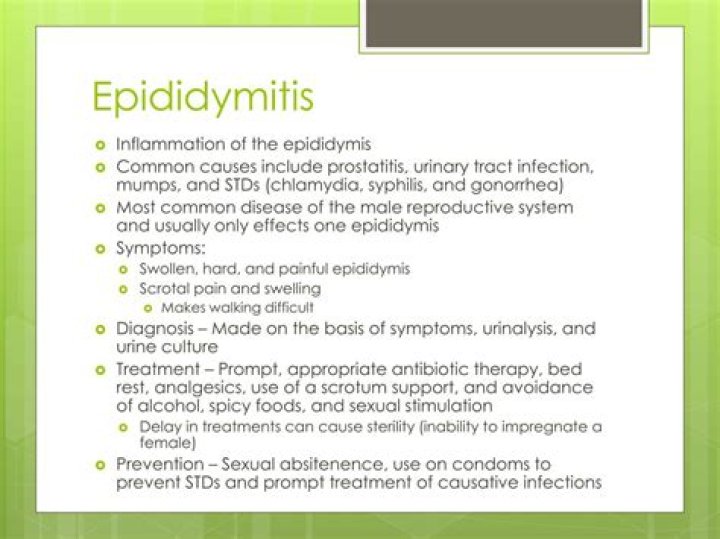 What antibiotics for epididymitis?