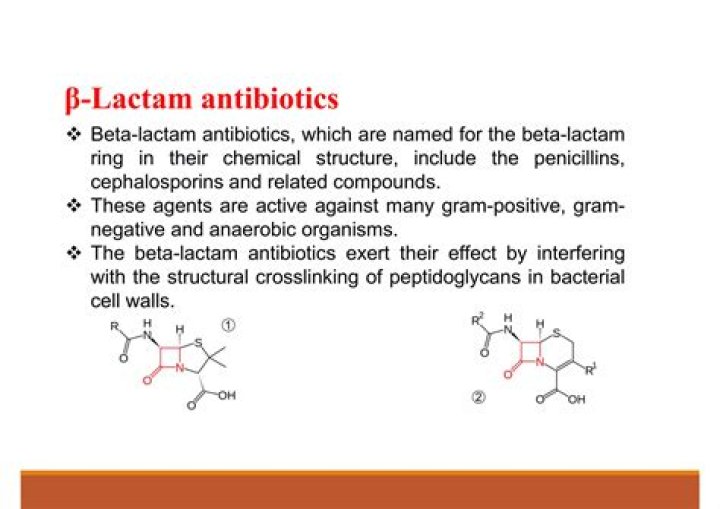 What are b lactam antibiotics?