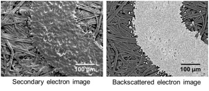 What are backscattered electrons and secondary electrons?