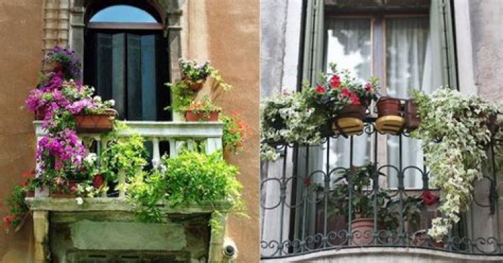 What are balconette bras good for?