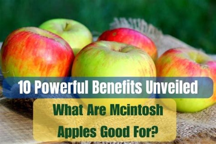 What are mcintosh apples good for?