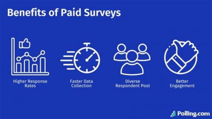 What are paid surveys?