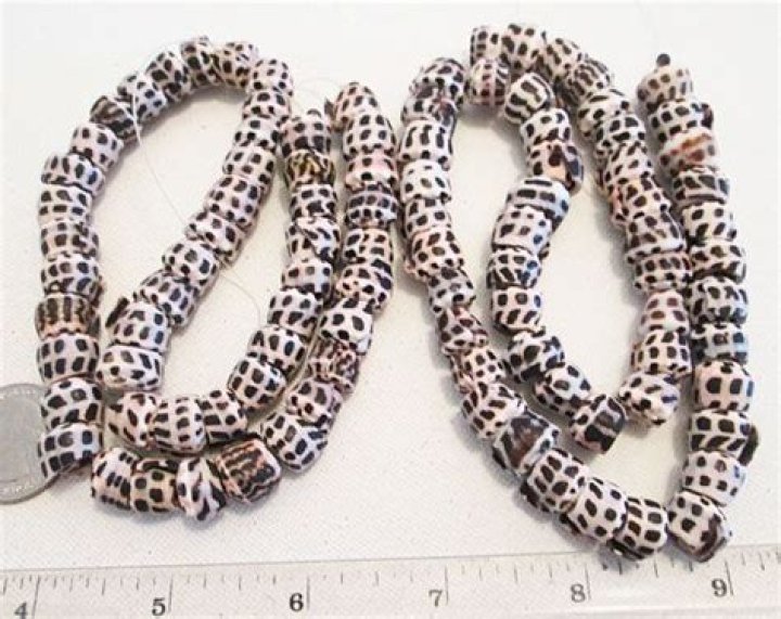 What are puka beads?