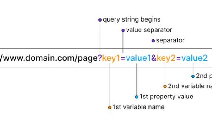 What are query parameters?