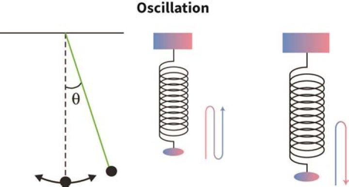 What are schuler oscillations?