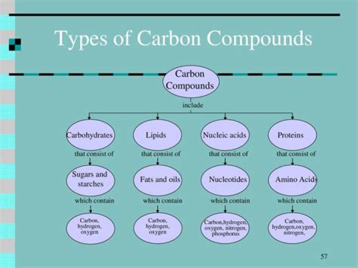 What are the 4 types of carbon compounds?