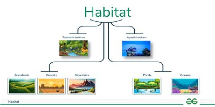 What are the 5 major habitats?