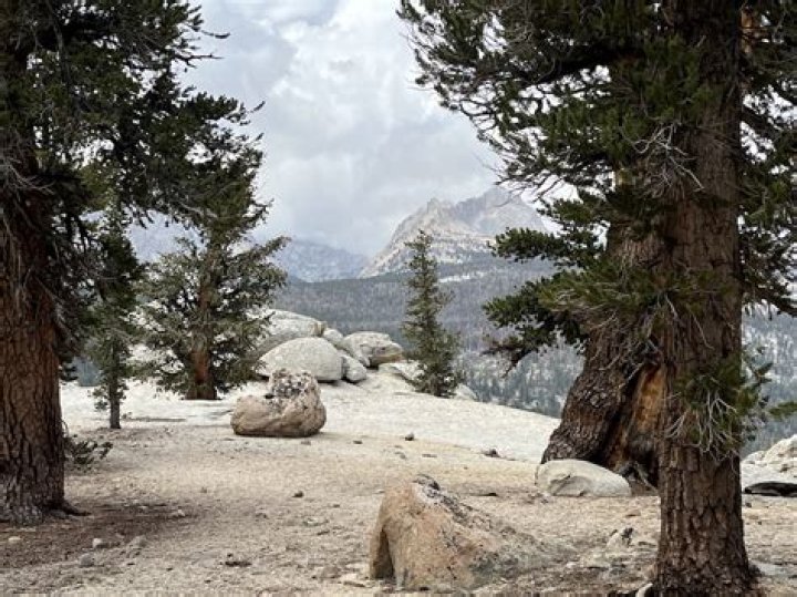 What are the high sierras?