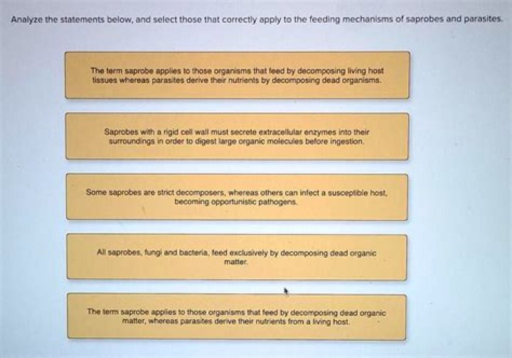 What are the main difference between saprobes and parasites?