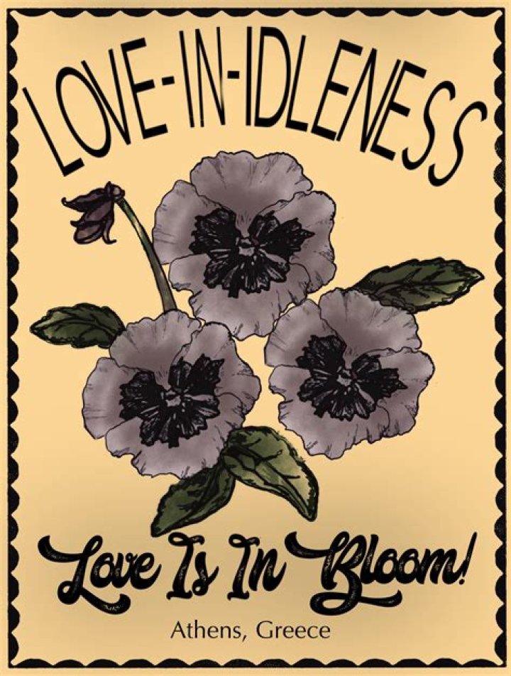 What are the properties of the love in idleness flower?