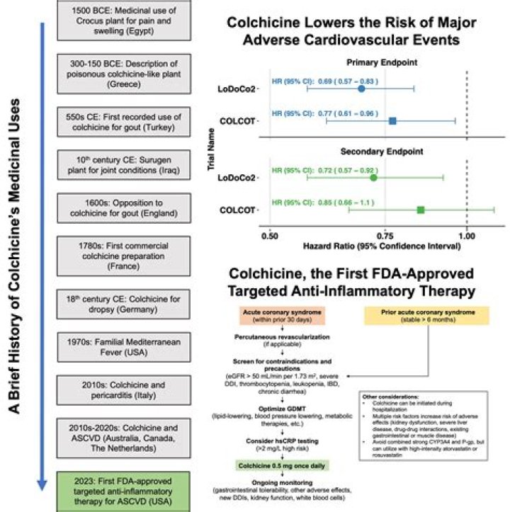 What are the side effects of colchicine?