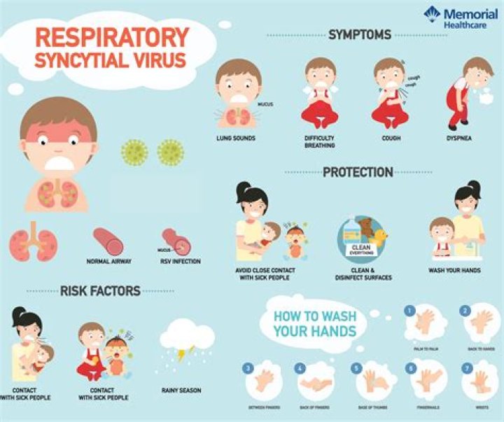 What are the signs and symptoms of hepatotoxicity?