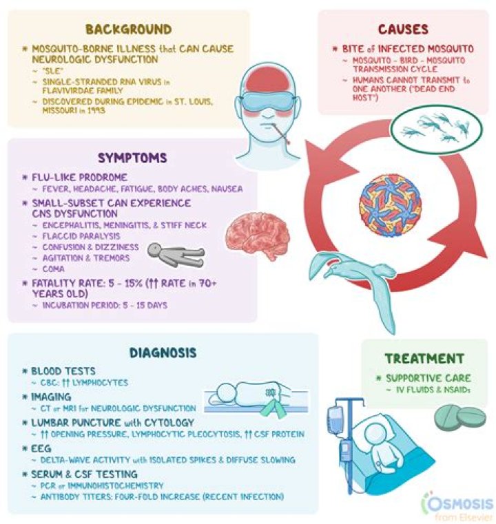 What are the symptoms of autoimmune encephalitis?