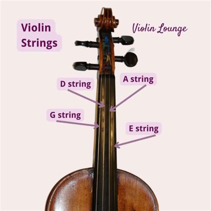 What are violin strings made of?