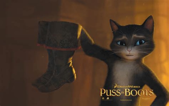 What cat is puss in boots?
