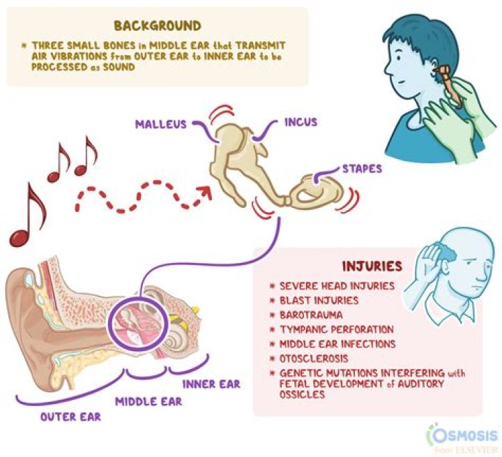 What causes jaw clicking sound?