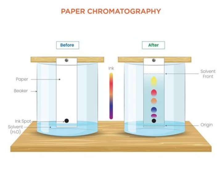 What chromatography in chemistry?