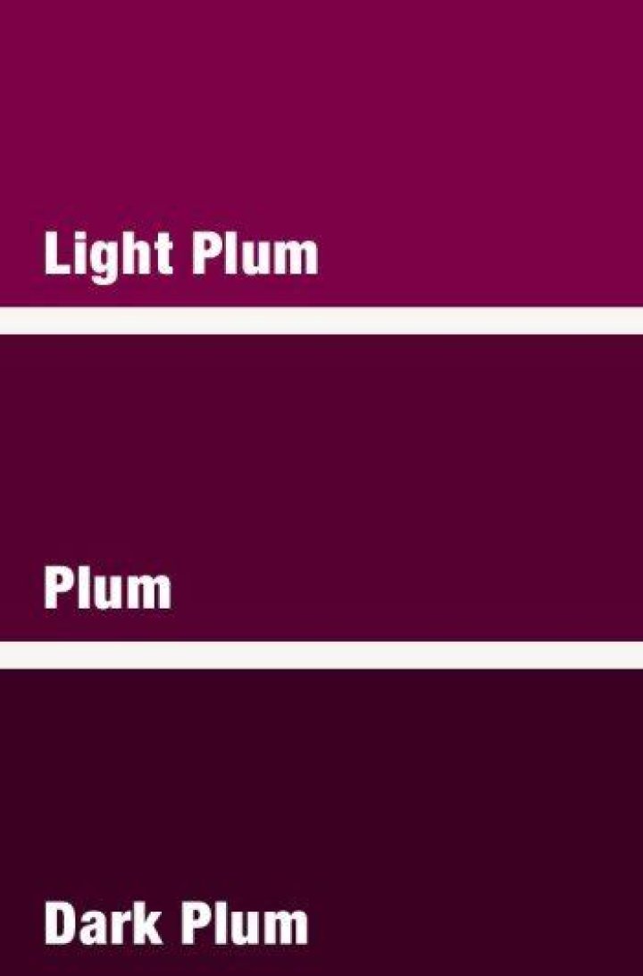 What colour is plum?