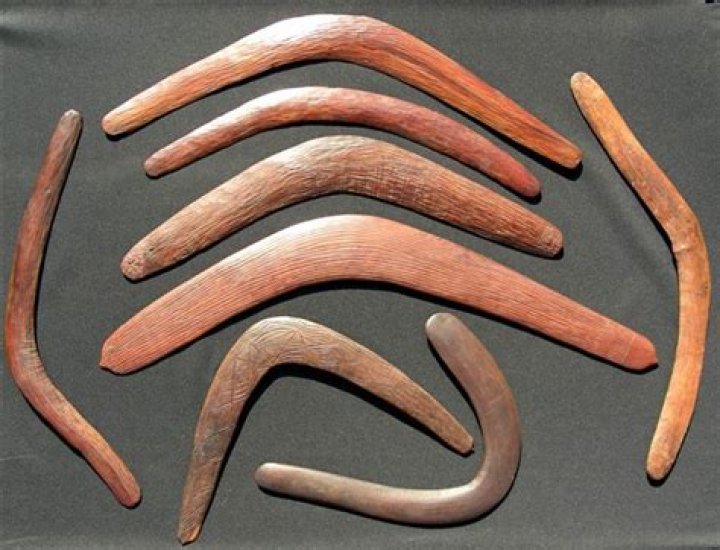 What did aboriginal use boomerangs for?