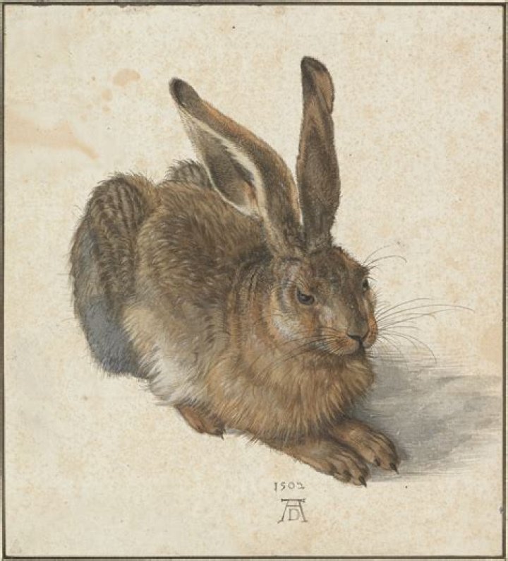 What did albrecht kossel discover?