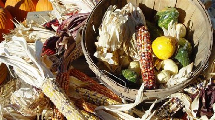 What do amerindians eat?