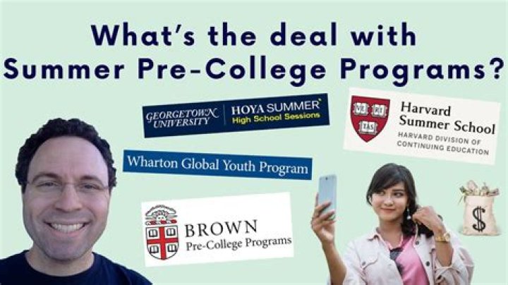 What do precollege programs mean?